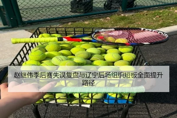 赵继伟季后赛失误复盘与辽宁后场组织短板全面提升路径