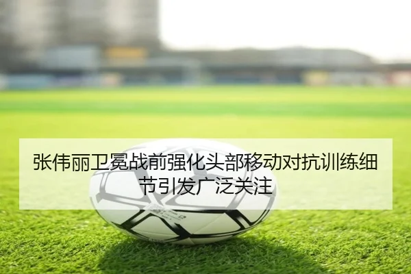 张伟丽卫冕战前强化头部移动对抗训练细节引发广泛关注